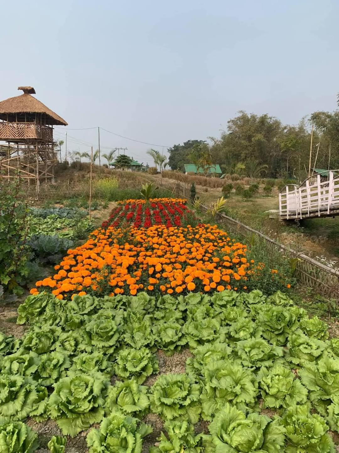 Bogibil Eco Resort New Dibrugarh Dış mekan fotoğraf