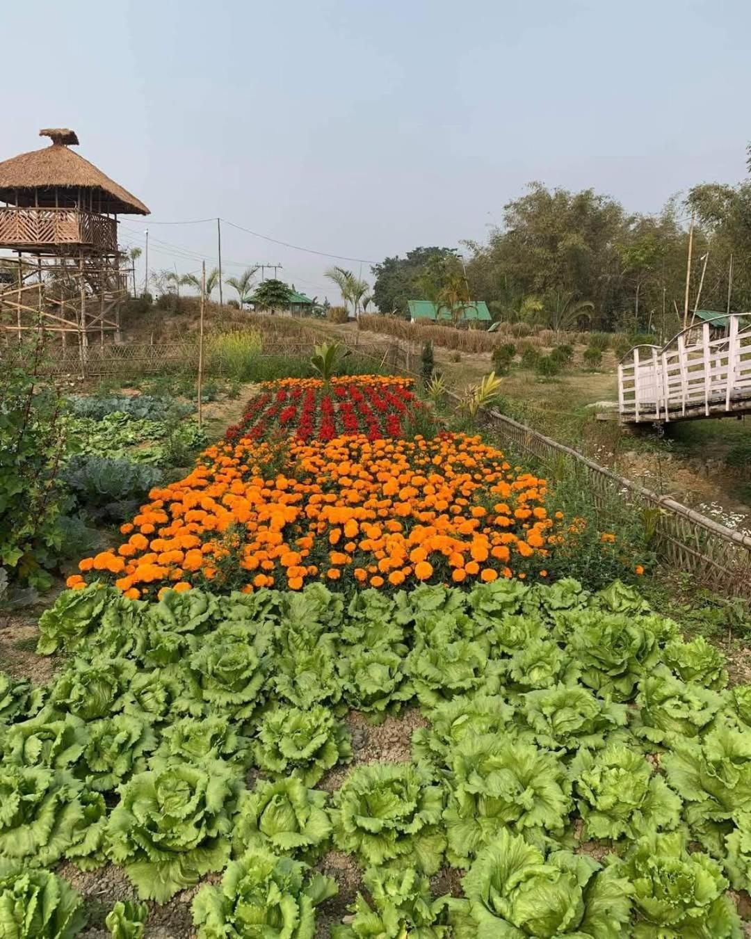 Bogibil Eco Resort New Dibrugarh Dış mekan fotoğraf
