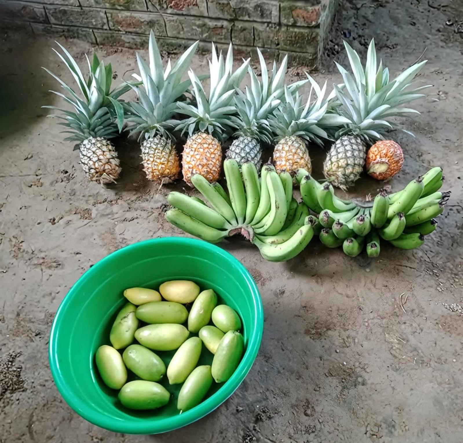 Bogibil Eco Resort New Dibrugarh Dış mekan fotoğraf