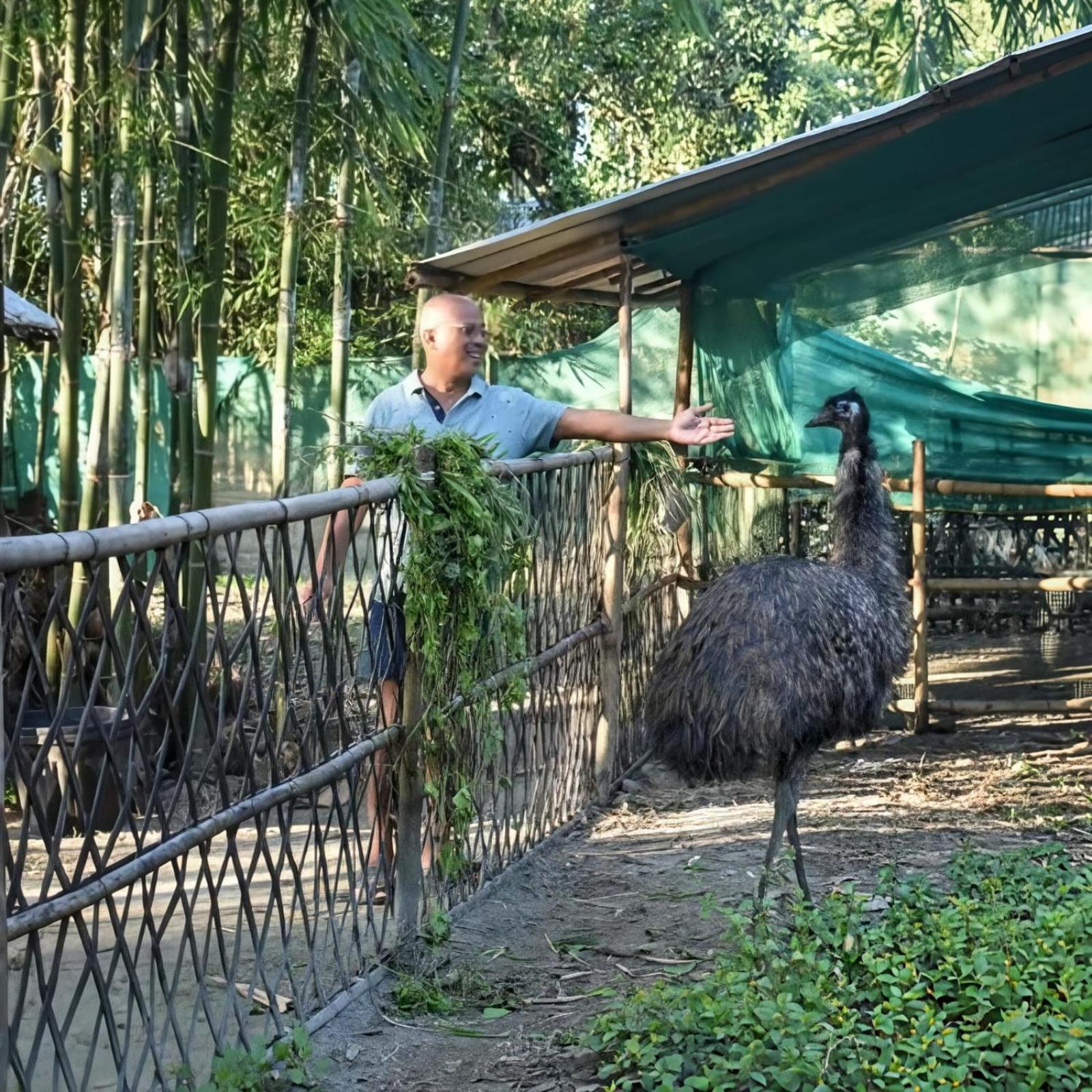 Bogibil Eco Resort New Dibrugarh Dış mekan fotoğraf